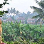 The view from your one on one sound healing session at the Yoga Barn, Ubud.